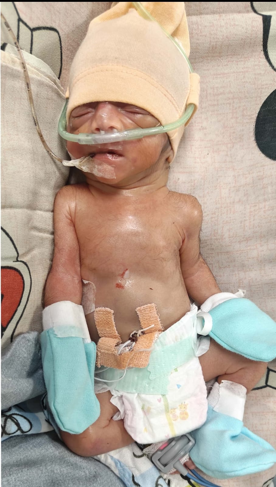 Thanks letter for baby of Samda