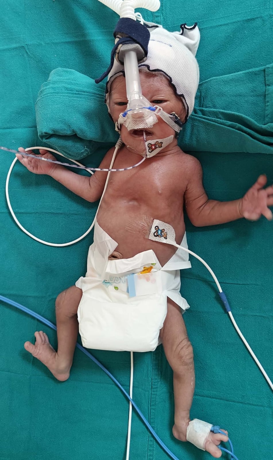 Thanks letter for Baby of Reeta