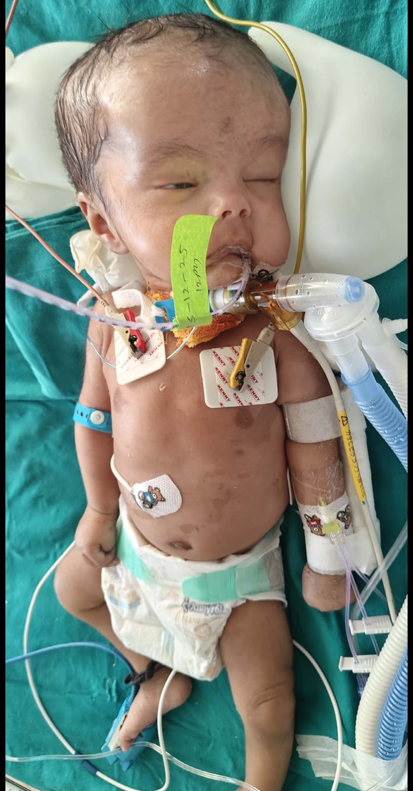 Thanks letter for Master Himanshu