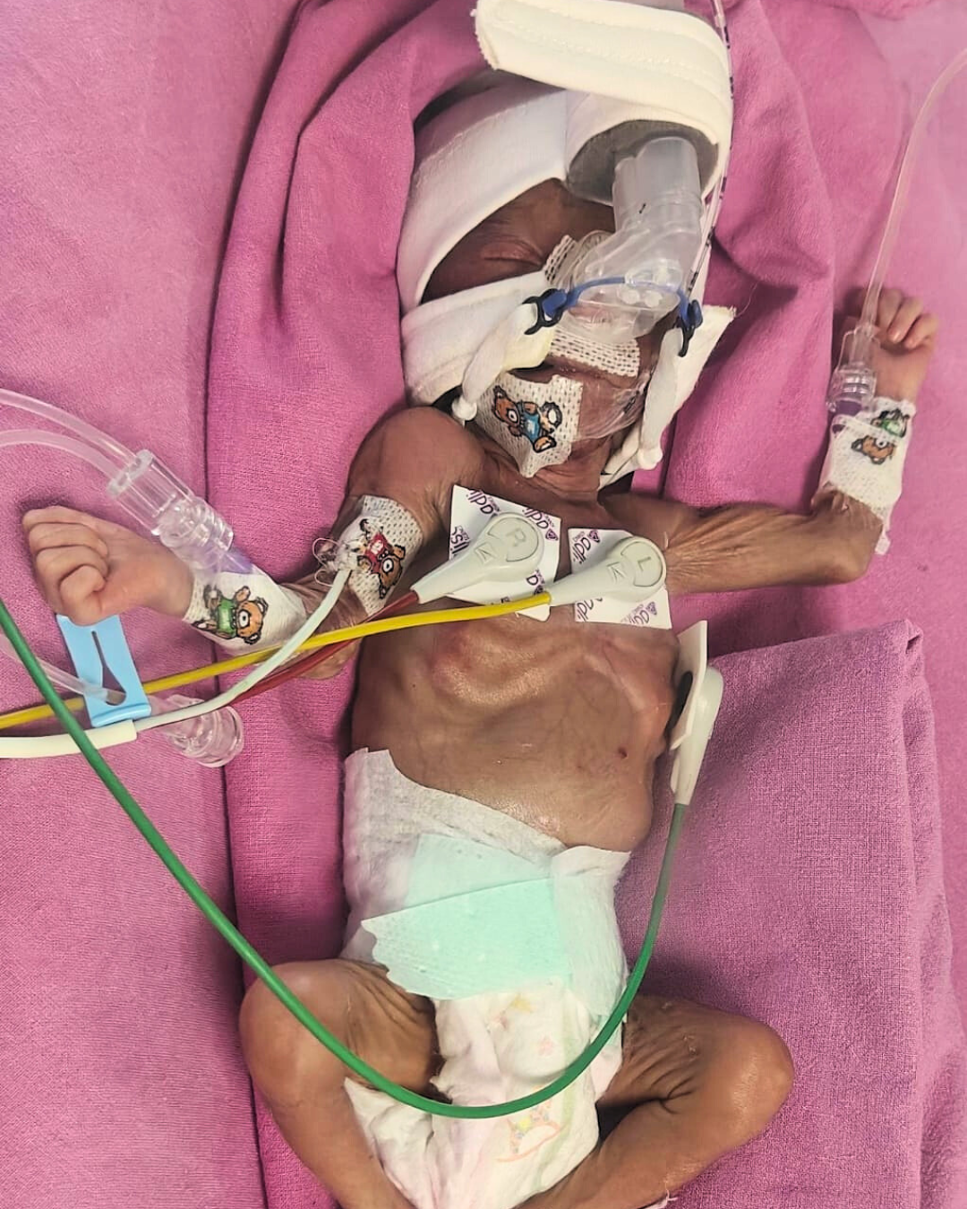 Thanks letter for Baby of Shilpi